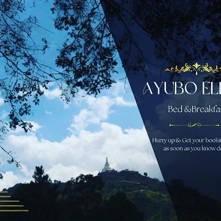 Ayubo Ella - Bed & Breakfast エクステリア 写真