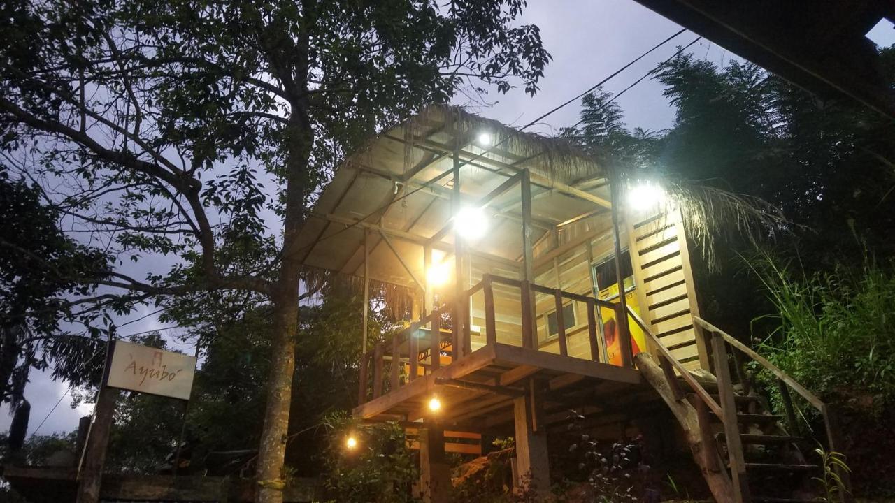 Ayubo Ella - Bed & Breakfast エクステリア 写真