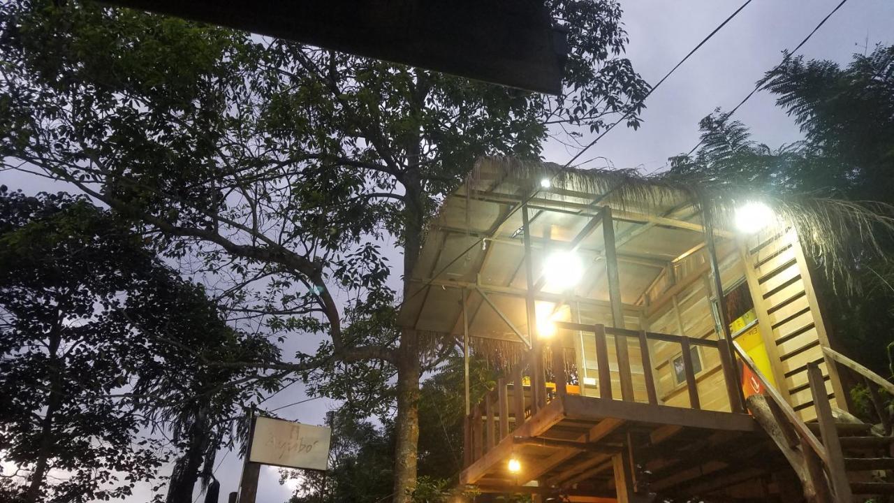 Ayubo Ella - Bed & Breakfast エクステリア 写真